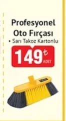 Profesyonel Oto Fırçası