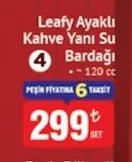 Leafy Ayaklı Kahve Yanı Su Bardağı