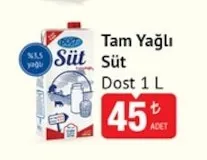 Tam Yağlı Süt Dost 1 L