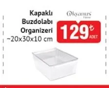 Kapaklı Buzdolabı Organizeri ~20X30X10 Cm