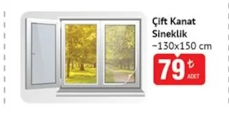 Çift Kanat Sineklik