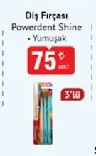 Diş Fırçası Powerdent Shine