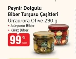 Peynir Dolgulu Biber Turşusu Çeşitleri Un'Aurora Olive 290 G