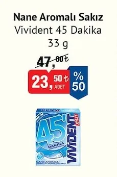 Nane Aromalı Sakız Vivident 45 Dakika 33 G