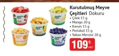 Diğer Kurutulmuş Meyve Çeşitleri Dokuru