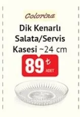 Colorina Dik Kenarlı Salata/Servis Kasesi ~24 Cm