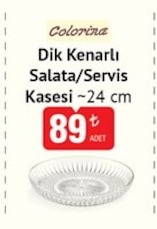 Colorina Dik Kenarlı Salata/Servis Kasesi ~24 Cm