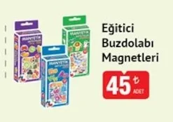 Eğitici Buzdolabı Magnetleri