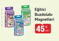 Eğitici Buzdolabı Magnetleri