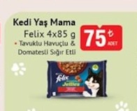 Kedi Yaş Mama Felix 4X85 G
