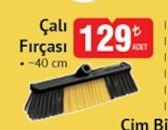 Çalı Fırçası