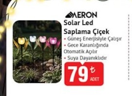Aeron Solar Led Saplama Çiçek