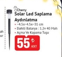 Cherry Solar Led Saplama Aydınlatma