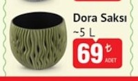 Dora Saksı ~5 L