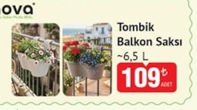 Tombik Balkon Saksı 6,5 L