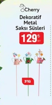 Cherry Dekoratif Metal Saksı Süsleri