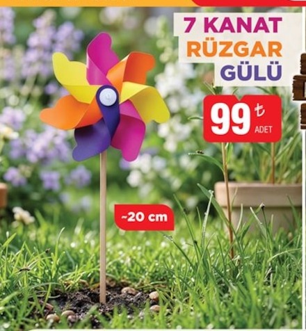 7 Kanat Rüzgar Gülü