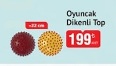 Oyuncak Dikenli Top