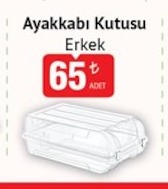 Ayakkabı Kutusu Erkek