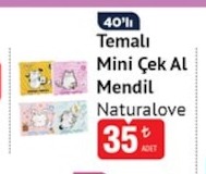 Temalı Mini Çek Al Mendil Naturalove 40'Lı