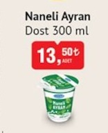 Naneli Ayran Dost 300 Ml