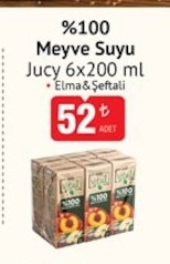Jucy %100 Meyve Suyu 6X200 Ml