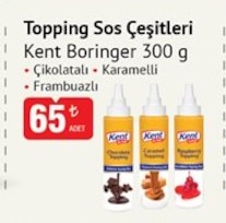 Topping Sos Çeşitleri Kent Boringer 300 G