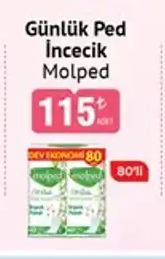 Günlük Ped İncecik Molped