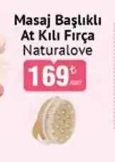 Masaj Başlikli At Kili Fırça Naturalove