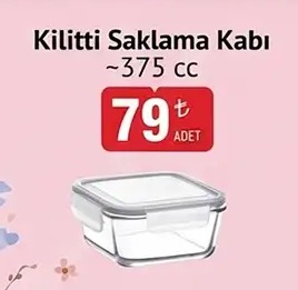 Kilitli Saklama Kabı ~375 Cc