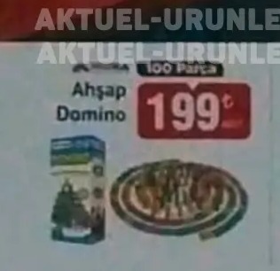 Ahşap Domino 100 Parça