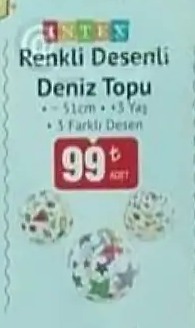Intex Renkli Desenli Deniz Topu 51Cm
