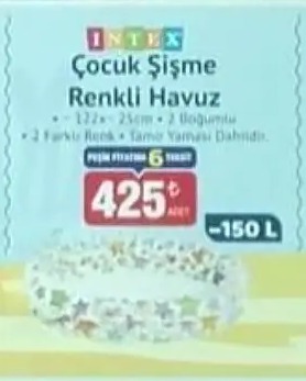 Intex Çocuk Şişme Renkli Havuz