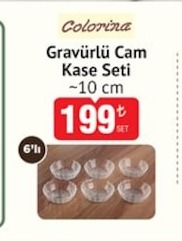 Colorina Gravürlü Cam Kase Seti 10 Cm