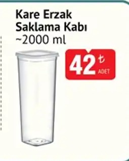 Kare Erzak Saklama Kabı 2000 Ml