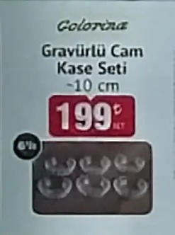 Colorina Gravürlü Cam Kase Seti 10 Cm