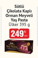 Ülker Sütlü Çikolata Kaplı Orman Meyveli Yaş Pasta 395 G