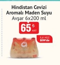 Avşar Hindistan Cevizi Aromalı Maden Suyu 6X200 Ml