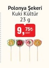 Polonya Şekeri Kuki Kültür 23 G