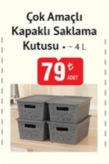 Çok Amaçlı Kapaklı Saklama Kutusu 4 L