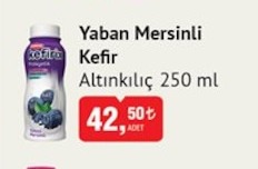 Yaban Mersinli Kefir Altınkılıç 250Ml
