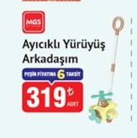 Ayıcılı Yürüyüş Arkadaşım