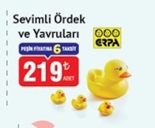 Sevimli Ördek Ve Yavrulari