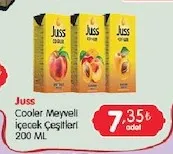 Juss Cooler Meyveli İçecek Çeşitleri 200 Ml