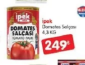 İpek Domates Salçası 4,3 Kg
