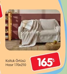 Koltuk Örtüsü Hasır 170X210