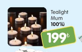 Tealight Mum 100'Lü