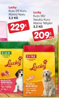 Lucky Kuzu Etli Kuru Mama Yavru 2,2 Kg