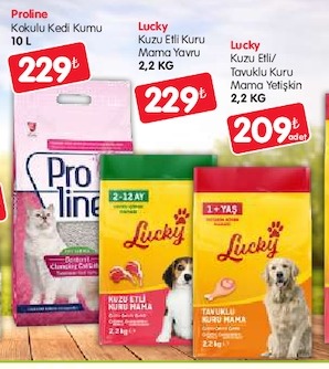 Proline Kokulu Kedi Kumu 10 L