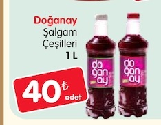 Doğanay Şalgam Çeşitleri 1 L